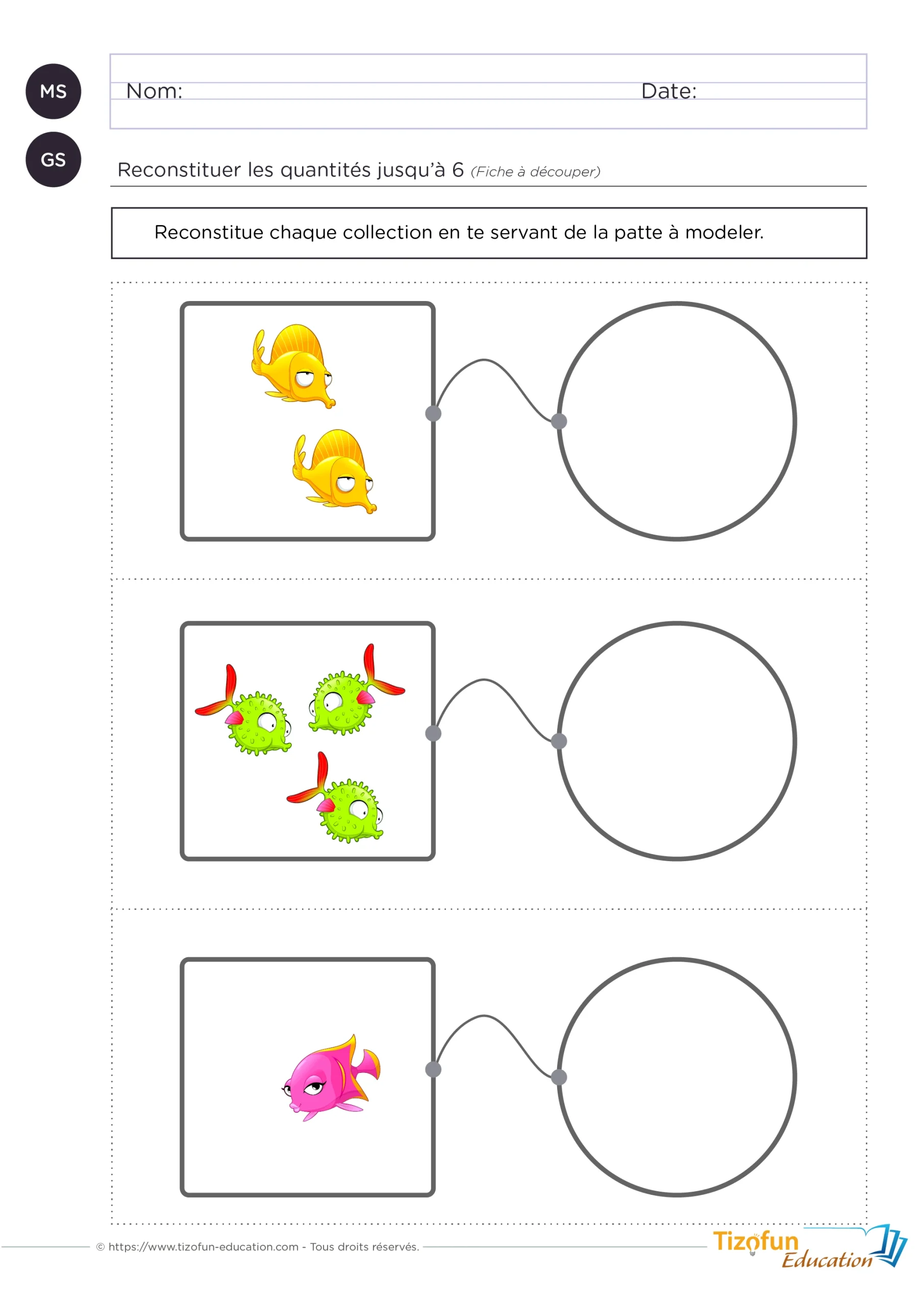 Construire le nombre en maternelle - exercice - activité